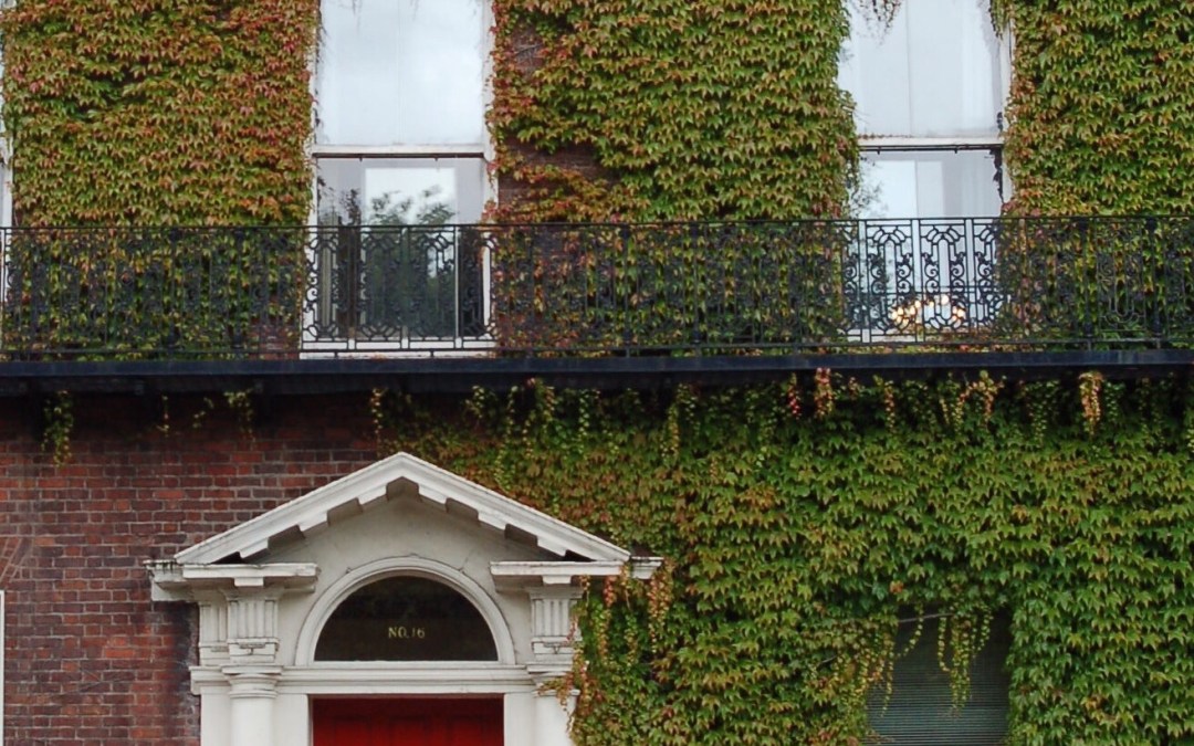 48 Hours in Dublin – Ideal Itinerary Created by a Local guide